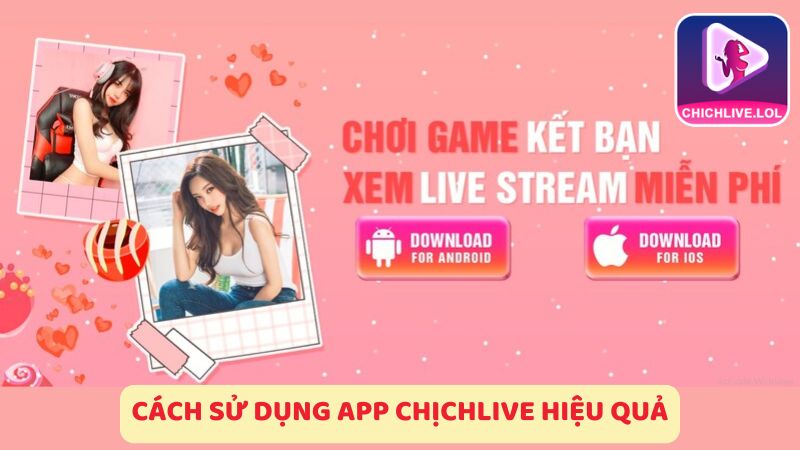 cach-su-dung-app-chichlive